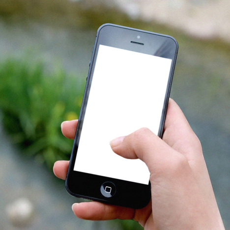 Prophet’s Mosque in Medina receives over 20m in Ramadan